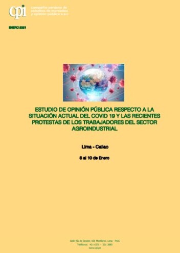 Encuesta CPI Enero 2021